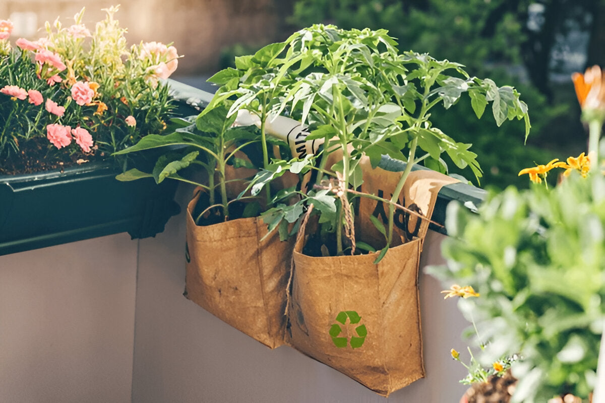 🌎 Our Sustainability Practices: Skincare That’s Kind to Your Skin and the Planet